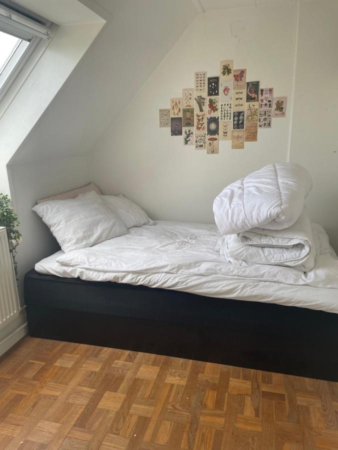 Cool Familyhome Close To The Beach W Two Cuddly Cats Espergærde المظهر الخارجي الصورة